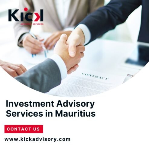 Expert Investment Advisory Services in Mauritius