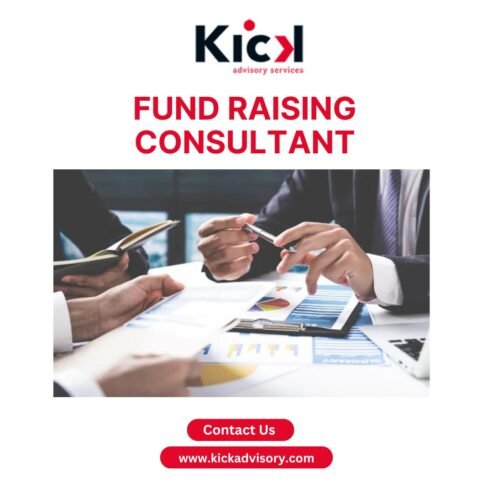 Expert Fundraising Consultant for Your Business Growth