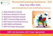 Business Analyst Course in Delhi, 110024, Top Google Rated [100% Job] SLA Consultants India, Free MS Power BI Training Course, “Republic Day Offer 2025”