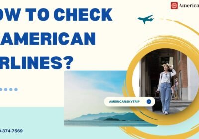 how-to-check-in-american-airlines