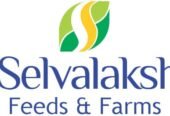 Egg Wholesale Price in Namakkal | SriSelvalakhmi Feeds and Farms
