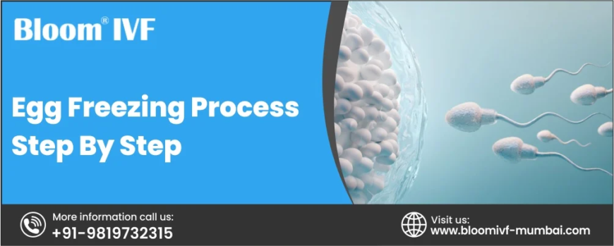 Egg Freezing Process Step by Step