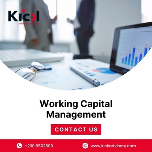 Optimize Your Business with Expert Working Capital Management