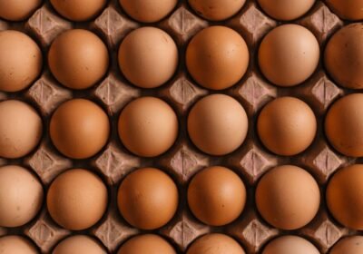 eggs-business