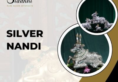 Silver-Nandi