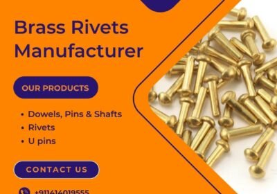 Stainless-Steel-Rivets