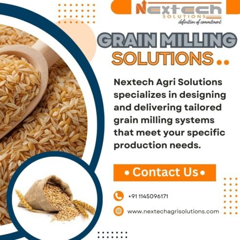 Customized Grain Milling Solutions for Your Agro Business