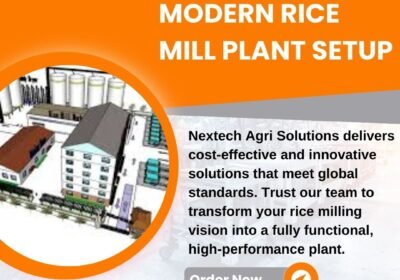 rice-mill-plant