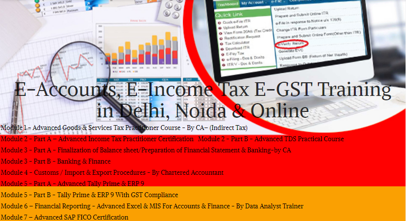 Accounting Taxation Course in Delhi, SAP Course and Tally Course in Delhi