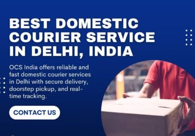 Best-Domestic-Courier-Service-in-Delhi-India