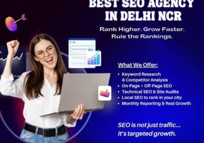 Best-SEO-Agency-in-Delhi_microcode-software