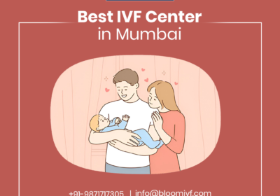 Best-ivf-centre-01