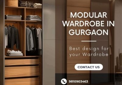 Modular-Wardrobe-in-Gurgaon-3