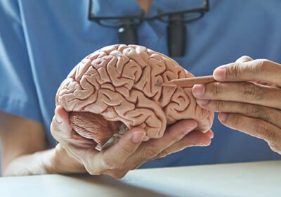 Neuro-1-1
