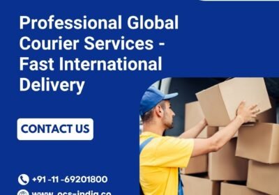Professional-Global-Courier-Services
