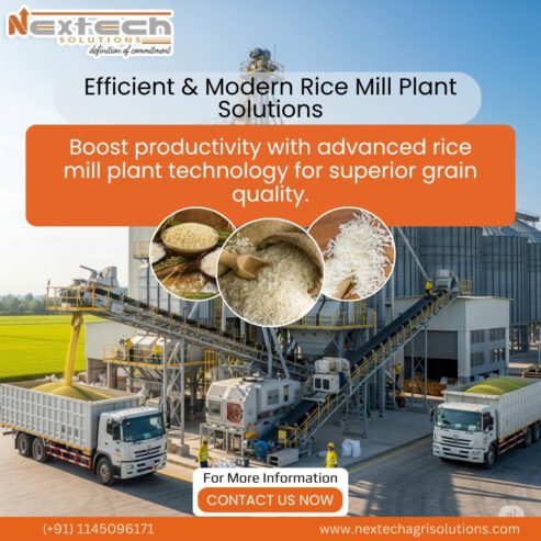 Modern Rice Mill Plant Setup for Efficient Grain Processing