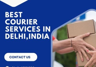 Best-Courier-Services-in-DelhiIndia