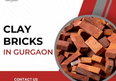 Clay-Bricks-In-Gurgaon