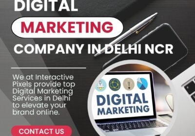 Digital-Marketing-Company-in-Delhi-NCR