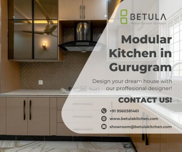 Beautiful Modular Kitchen in Gurugram for Smart Homes