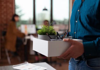 Plants-on-Rent-in-Gurgaon-1