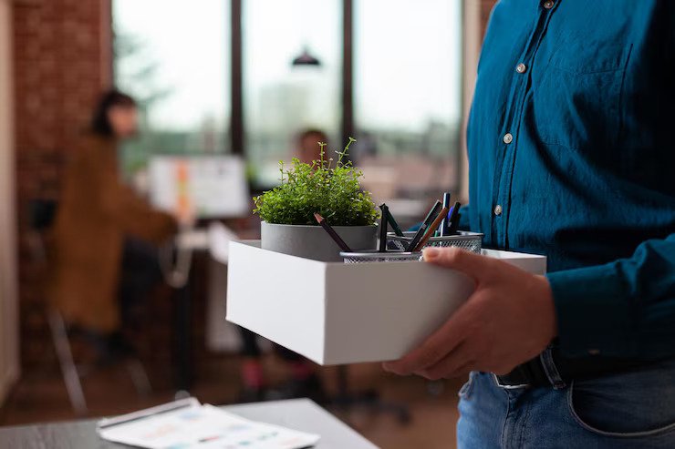 Plants on Rent in Gurgaon – Garden On Hire