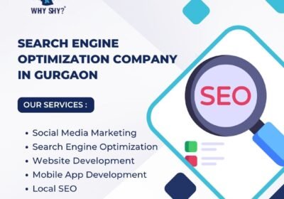 Search-Engine-Optimization-Partner-in-Gurgaon