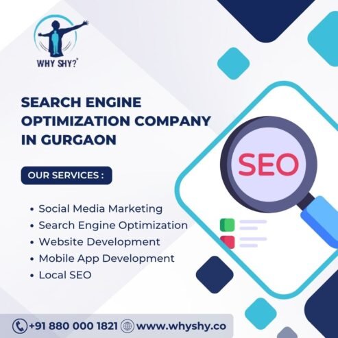 Leading Search Engine Optimization Company in Gurgaon- Why Shy