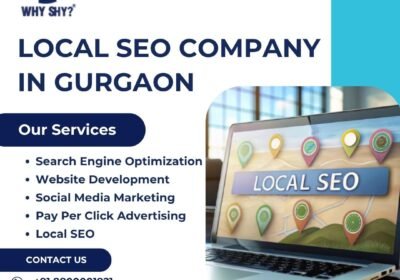 local-seo-company-in-gurgaon-2